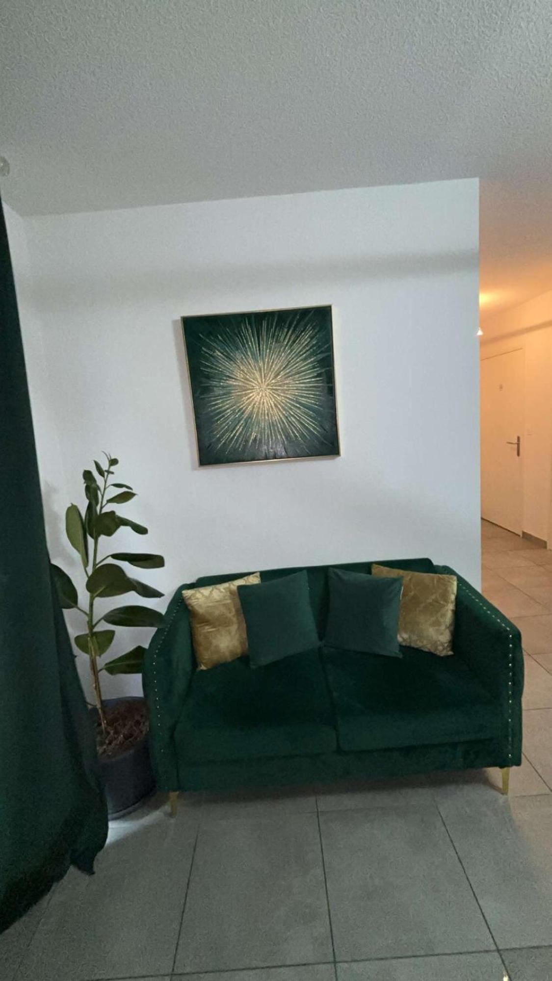 Suite Jacuzzi "Spa Privatif " Appartement Jacuzzi Toulouse Exterior photo